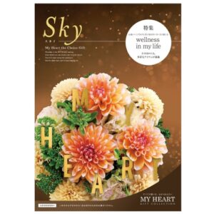 25-mh-k611-25900-todokawa2510